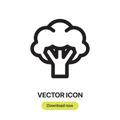 Broccoli icon vector. Linear style sign for mobile concept and web design. Broccoli symbol illustration. Pixel vector graphics - Vector. 