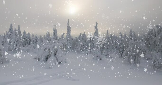 Falling snowflakes against the backdrop of snow-covered fir trees and the sun setting in a haze of clouds at a ski resort in Lapland.