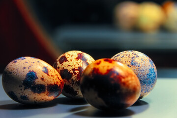 close up of a quail eggs
