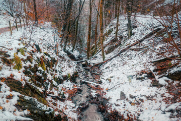 Klamm mit Bach im Helletal bei Winterberg im Schnee