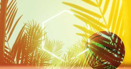 Multiple exposure of basketball and plants with hexagon neon during sunset, copy space