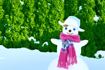 Snowman on the background of thuja