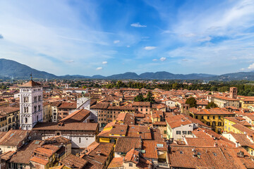 Fototapeta na wymiar Lucca, Italy. Scenic aerial view of the medieval city