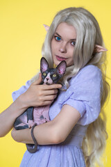 Young woman cosplay elf in blue summer dress, with blonde curly long hair and eyes of different colors holding Sphinx kitten in hands, looking at camera on yellow background. Focus on kitten.