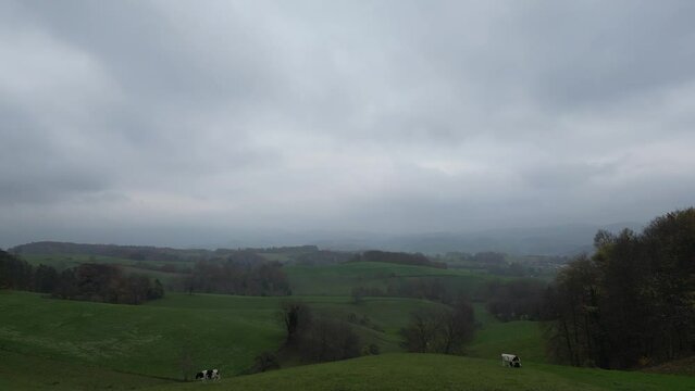 Aerial Capture of Countryside with Cows at Cloudy Time