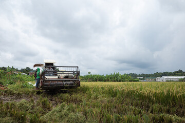 jepara, indonesia, December 8, 2022 rice harvesting machines, to save energy and work effectiveness