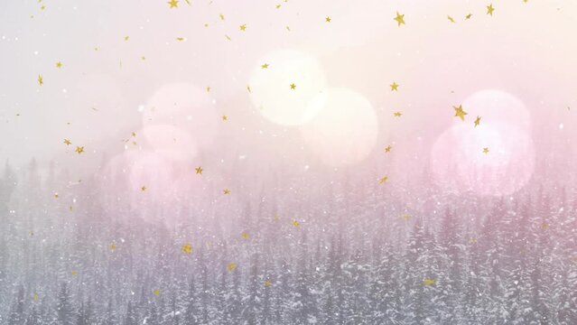 Animation of star shaped confetti floating over pine trees against lens flares during foggy weather
