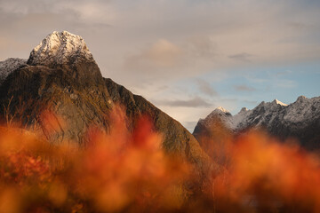 Autumn color below Olstind mountain, Reine, Lofoten Islands, Norway © Cavan