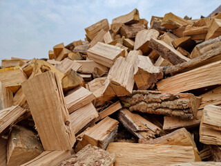 Chopped down tree trunks, firewood stacked in a storage yard, for heating in winter. Selective focus