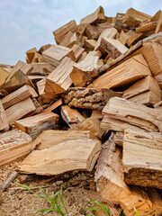 Chopped down tree trunks, firewood stacked in a storage yard, for heating in winter. Selective focus