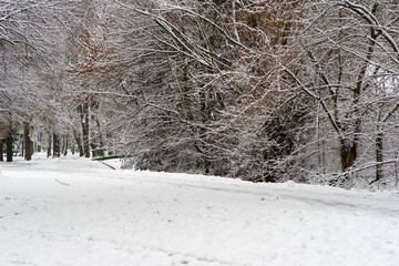 Drzewa pięknie ozdobione świeżo spadłym śniegiem . W tle widoczny mały zielony mostek . Pierwszy śnieg jesienią . - obrazy, fototapety, plakaty
