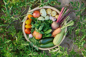 Top view of basket with many different vegetables herbs