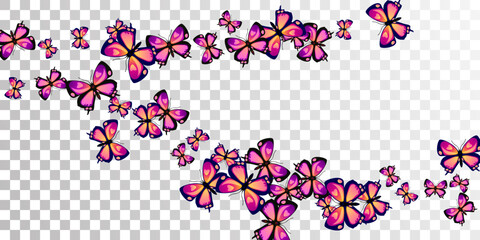 Fairy purple butterflies flying vector background. Spring funny insects. Detailed butterflies flying girly wallpaper. Delicate wings moths graphic design. Garden creatures.