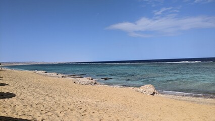shore on a coral reef in Egypt
