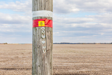 Inspection tag on electric utility power pole. Electrical grid safety, maintenance, repair and...