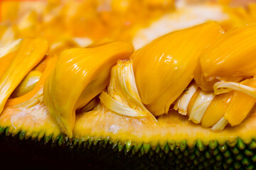 fruit, jackfruit, nature, tree, green, food,