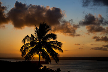 Romantic sunset in a lagoon. The sun sets behind a palm tree.