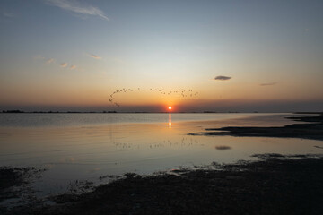 Beautiful sunset in a calm lagoon with birds flying