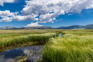 Obraz premium Landscape of a stream flowing through a meadow towards mountains under a beautiful sky in the Valles Caldera National Preserve near Santa Fe, New Mexico