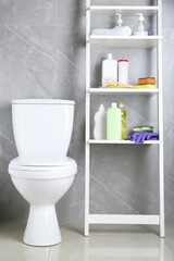 Toilet bowl and shelving unit with cleaning supplies indoors