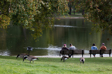 People sitting on a bench in front of a lake, Boston Commons, Massachusetts, USA