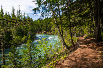 Fototapeta na wymiar Hiking trail above a river - McDonald Creek Trail, Glacier National Park, Montana