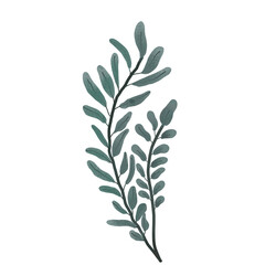 Watercolor Leaves Illustration Transparent