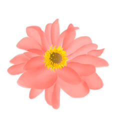 Beautiful Watercolor Flower Illustration