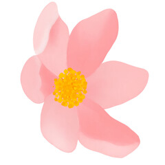 Beautiful Watercolor Flower Illustration