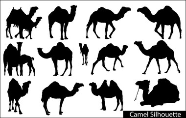 Set of Camel Silhouettes - Vector Illustration