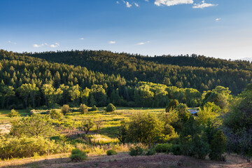 Fototapeta premium Pastoral landscape of green mountain valley with farm, fields, and orchards in late evening light in New Mexico