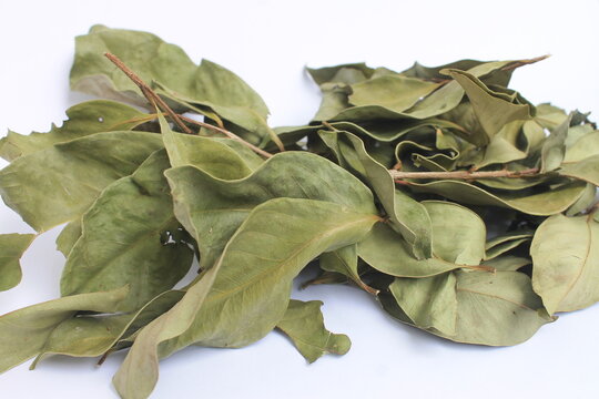 pile of dry bay leaves on white background