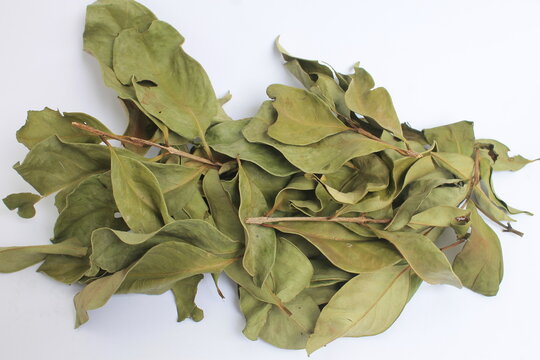 pile of dry bay leaves on white background