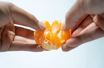 A picture of tangerines inside the studio