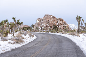 Road curves through a snowy landscape of Joshua trees and boulders in Joshua Tree National Park