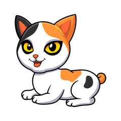 Cute japanese bobtail cat cartoon 