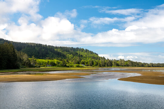 Wetland of mud flats and bay below forested green hills on the Oregon coast