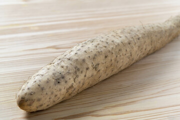 新鮮な長芋