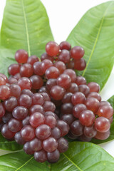 美味しいブドウ