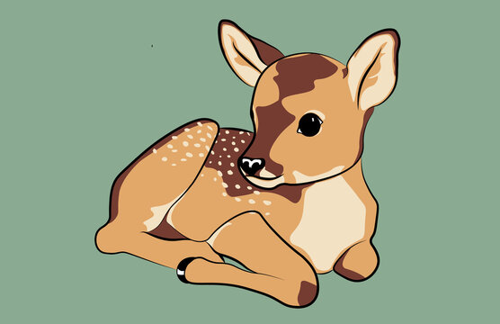 Ilustracion vectorial de cervatillo 