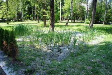 At the entrance to the Factory Park of Dedovsk in the Moscow region