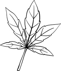 cannabis leaf freehand drawing.
