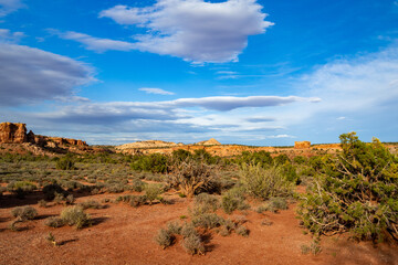 Typical desert scene in Canyonlands National Park