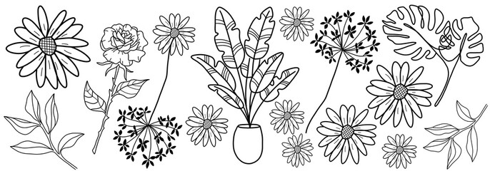 Botanical design with plants, flowers. Doodle illustration, black line, silhouette. Holiday, Birthday, Hanukkah, Valentines day, Easter template.