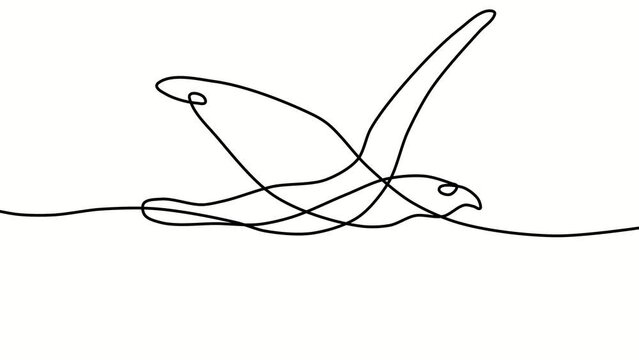 Line art forming into a pigeon