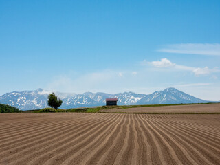 Fototapeta na wymiar A field overlooking the Tokachi mountain range