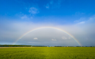 A huge rainbow that appeared on the plains