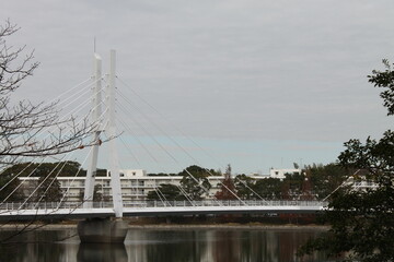 湖の上の橋