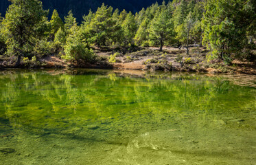 Fototapeta na wymiar Green mountain lake with coniferous trees on the shore. The water is clear and you can see the stones on the bottom. Slight reflection on the water surface