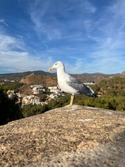 Málaga España: construcciones y paisajes con historia